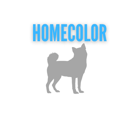 Homecolor – Llenamos de Colores tu Hogar