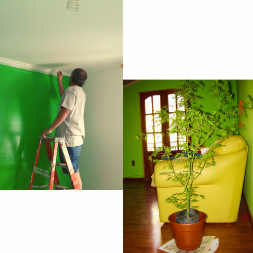 Pintura de Interiores